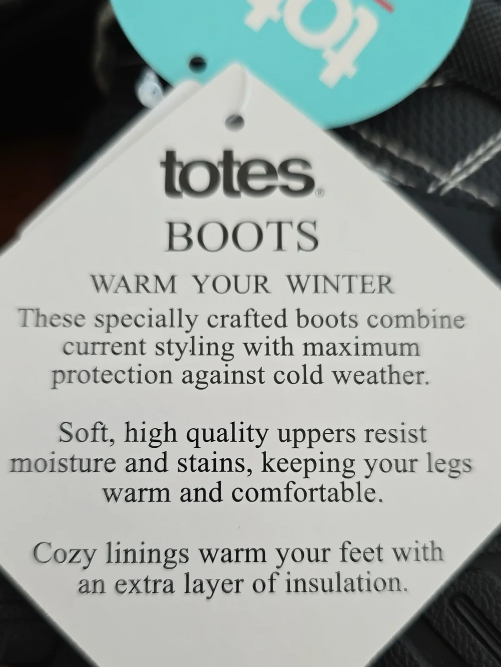 Totes Kids Toddler Boys Tayton Waterproof Insulated Flat Heel Winter Boots Sz 8T